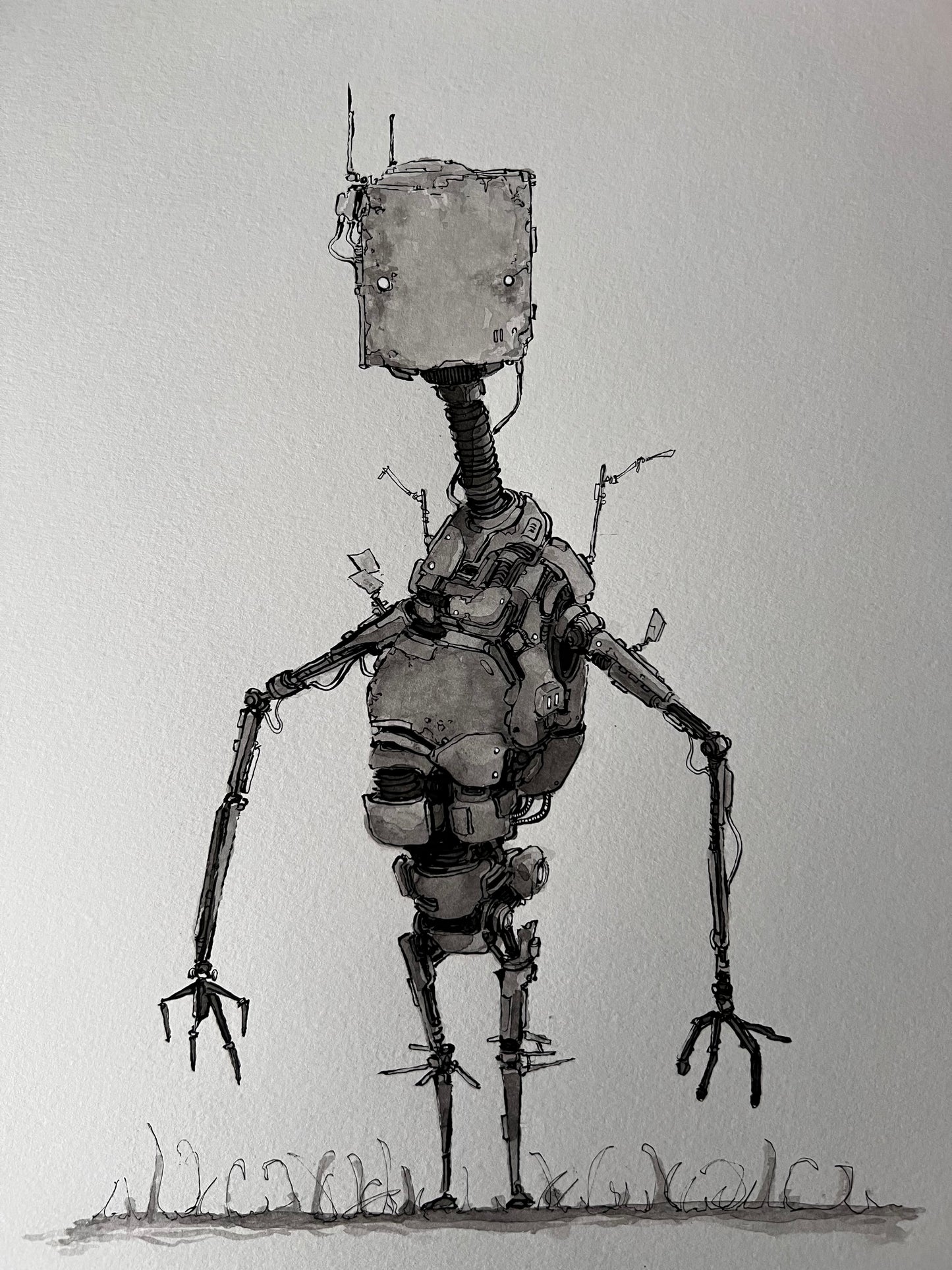 Steve II