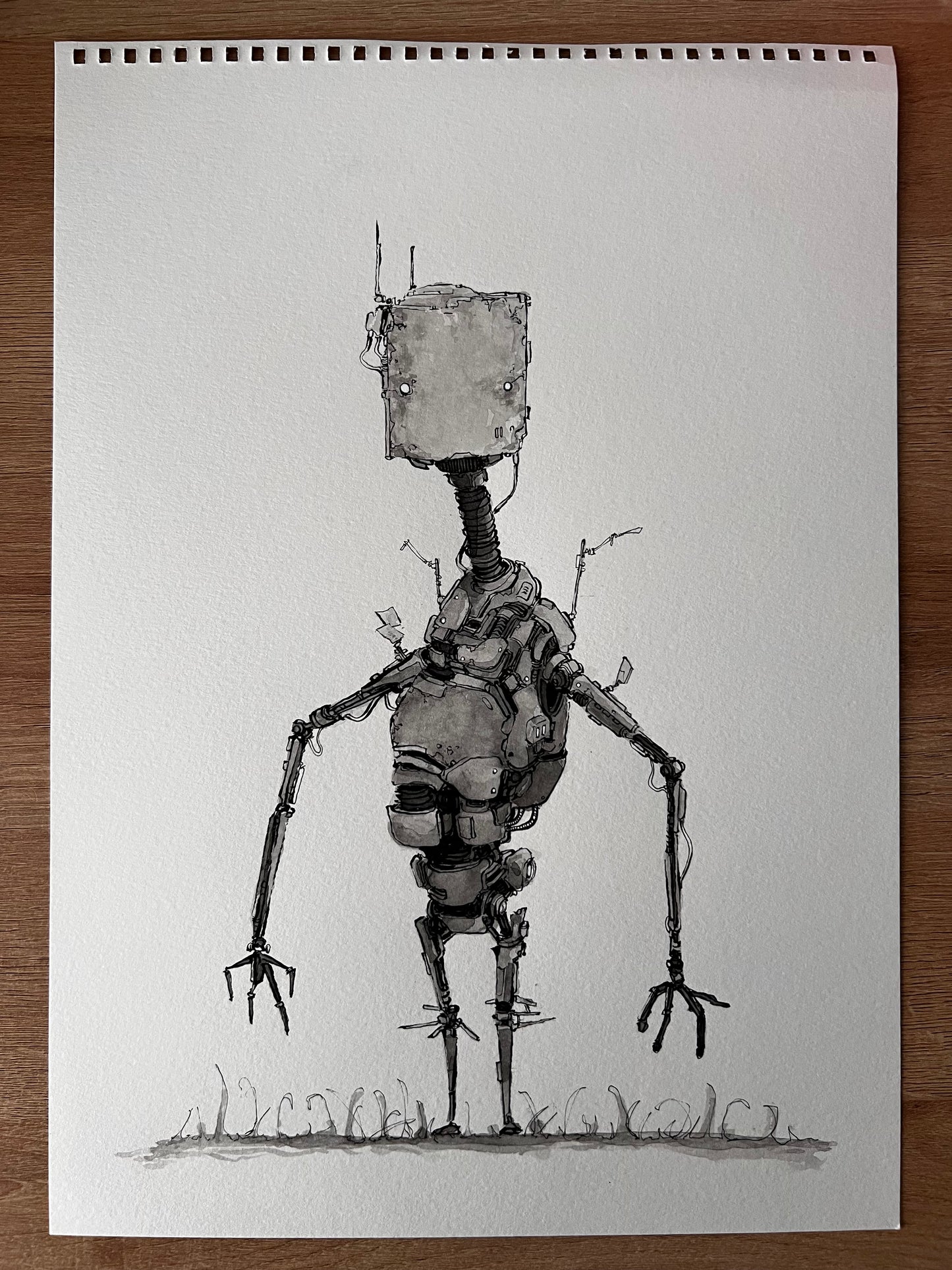 Steve II