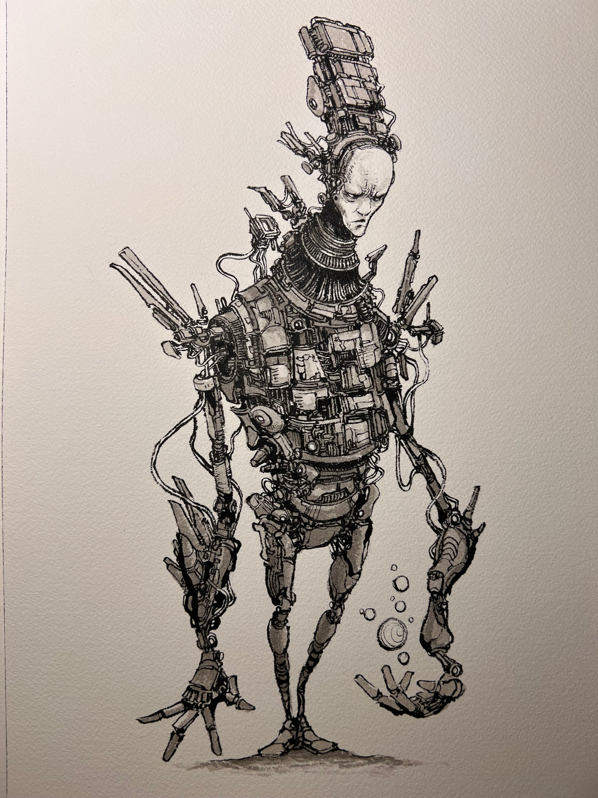 Herald (Original 2026)