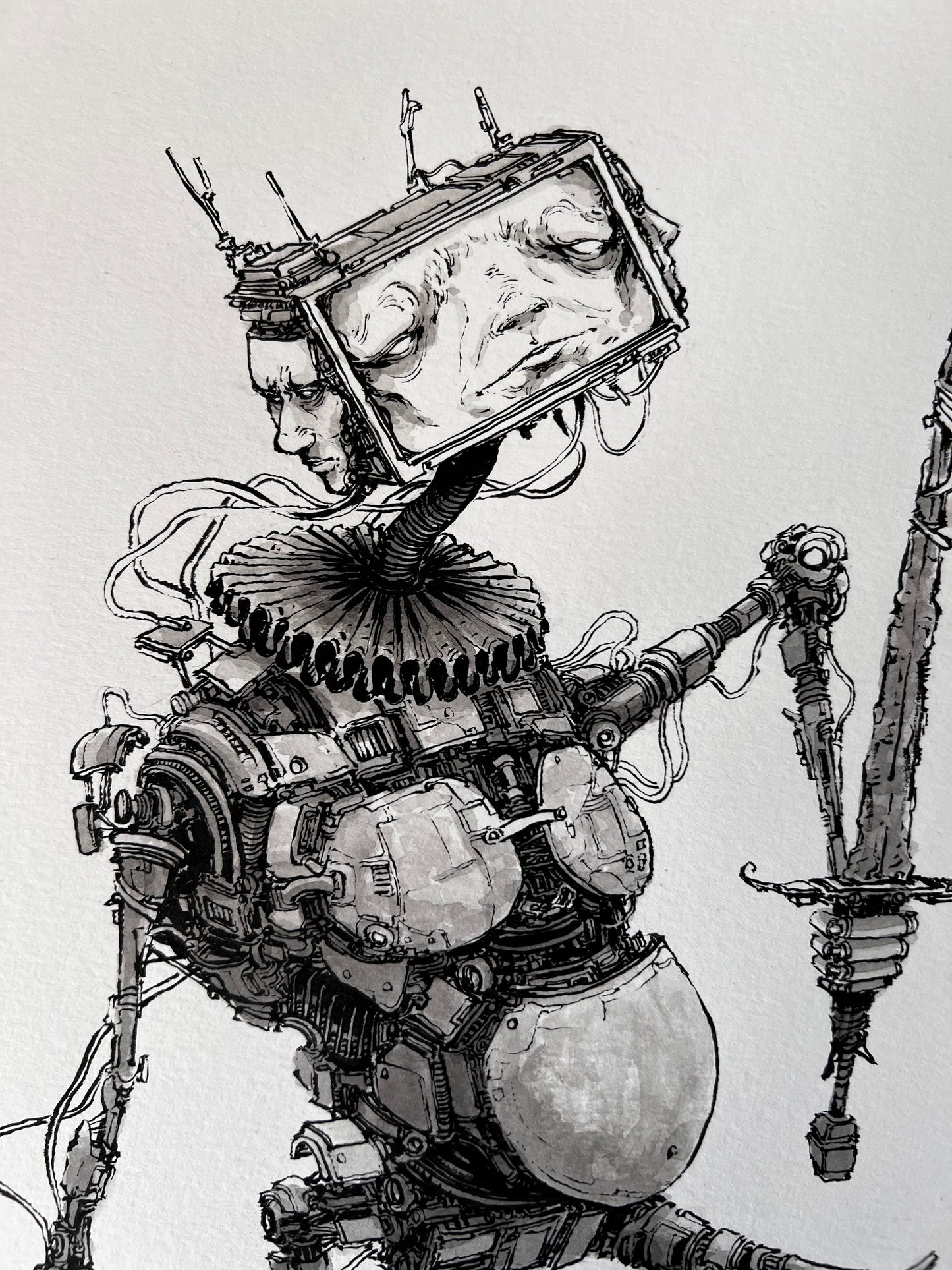 Wallace (2025 Original)