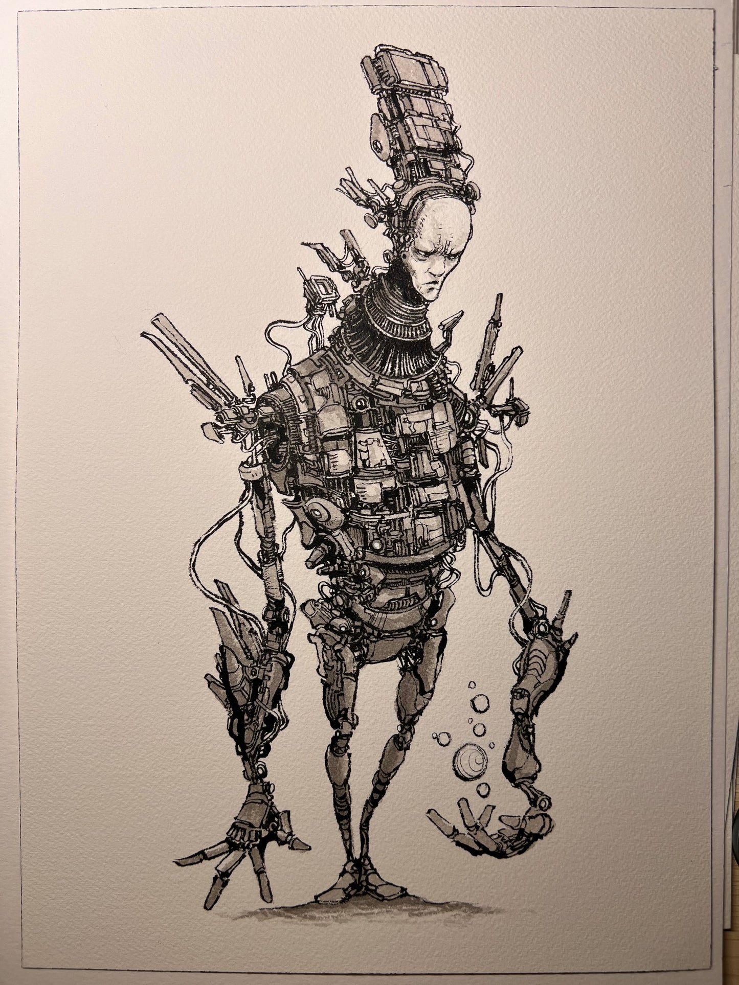 Herald (Original 2026)