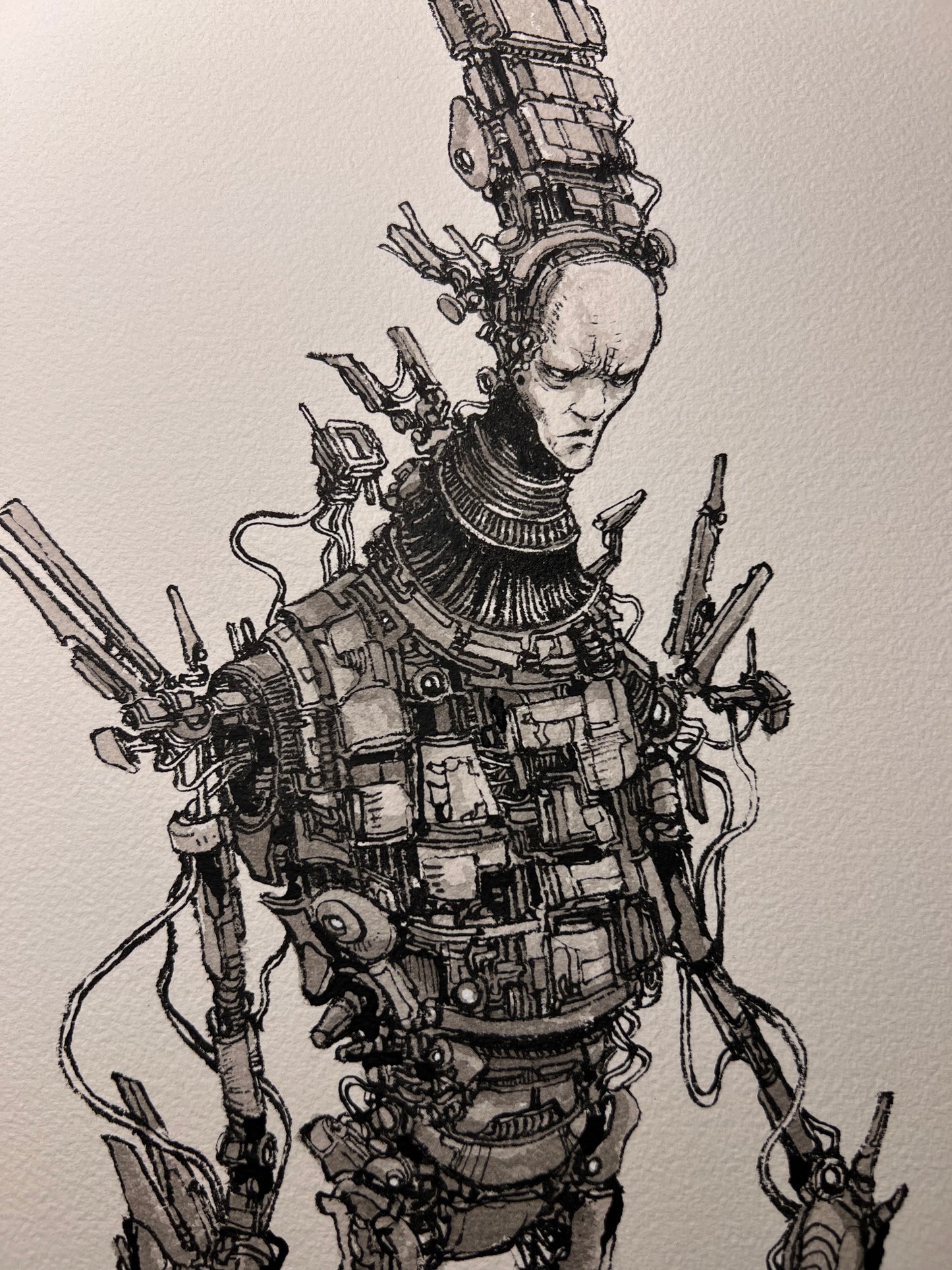 Herald (Original 2026)
