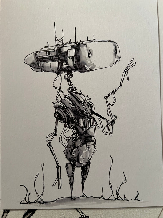 QB (Original 2026)