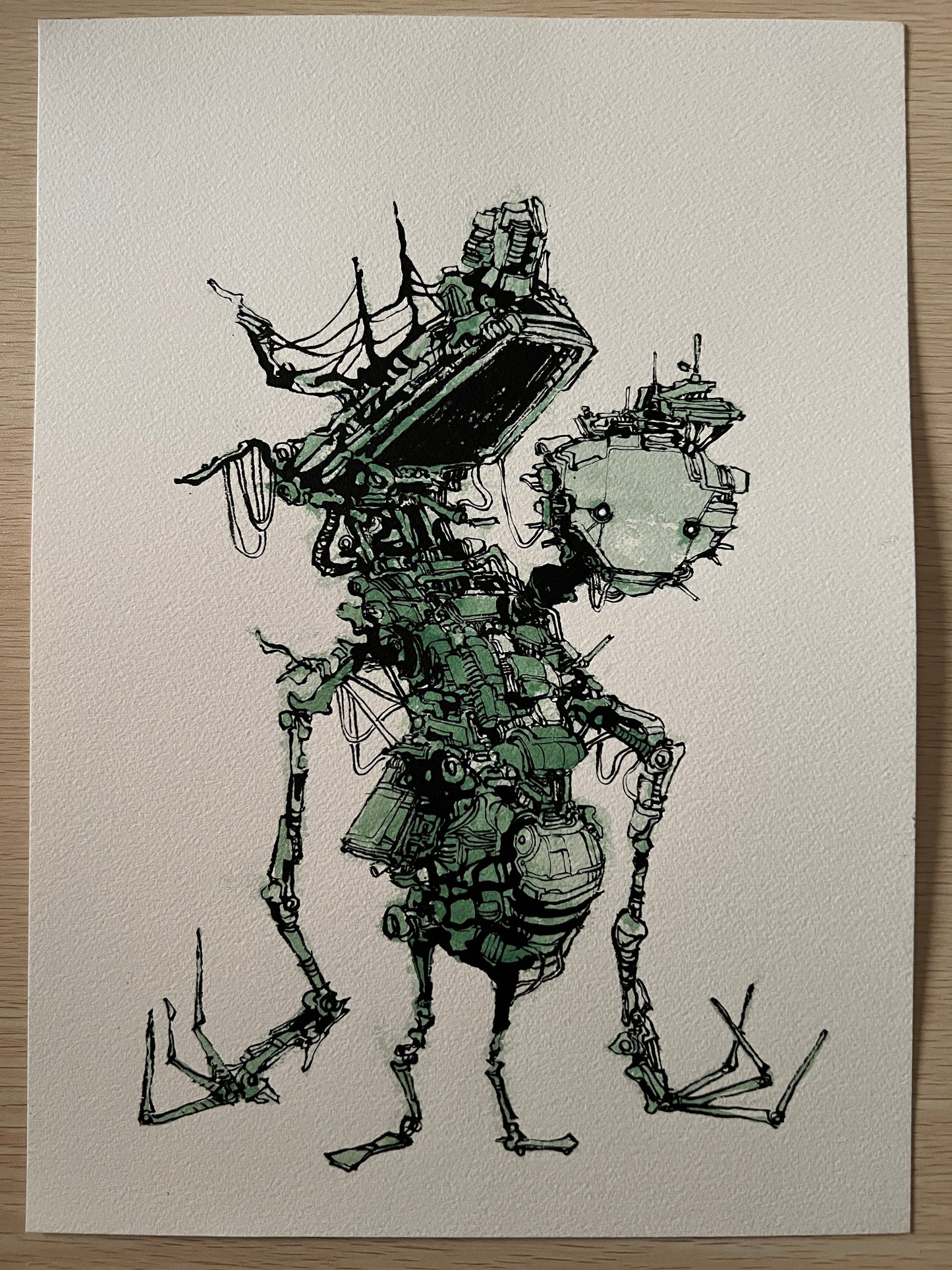 Agro Berry the Sympathizer (Original 2026)