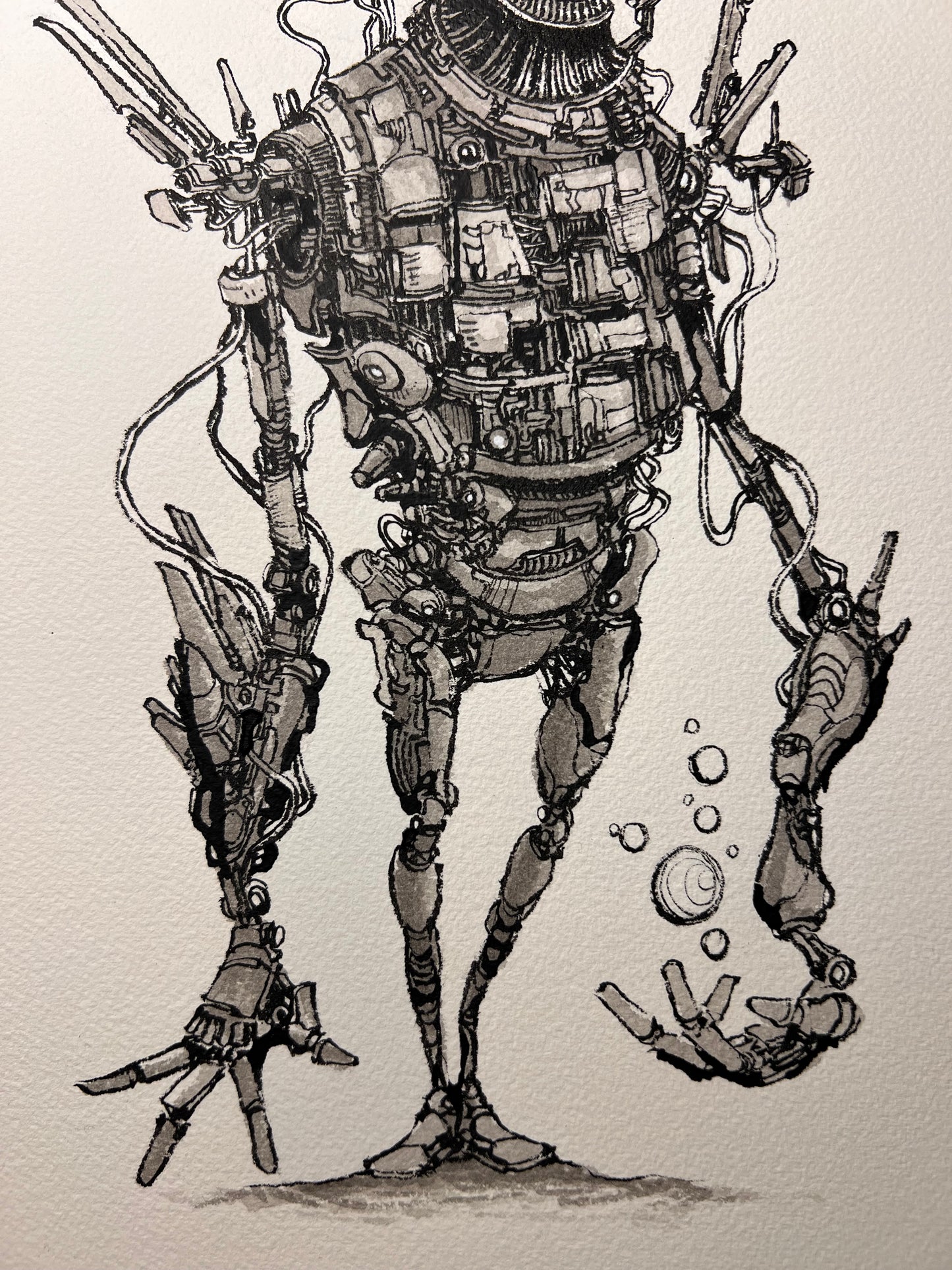 Herald (Original 2026)