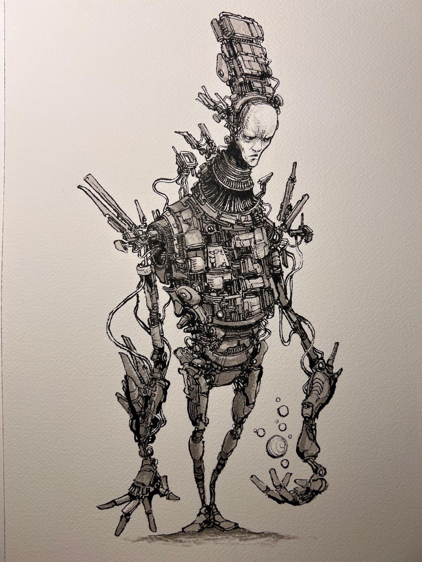 Herald (Original 2026)