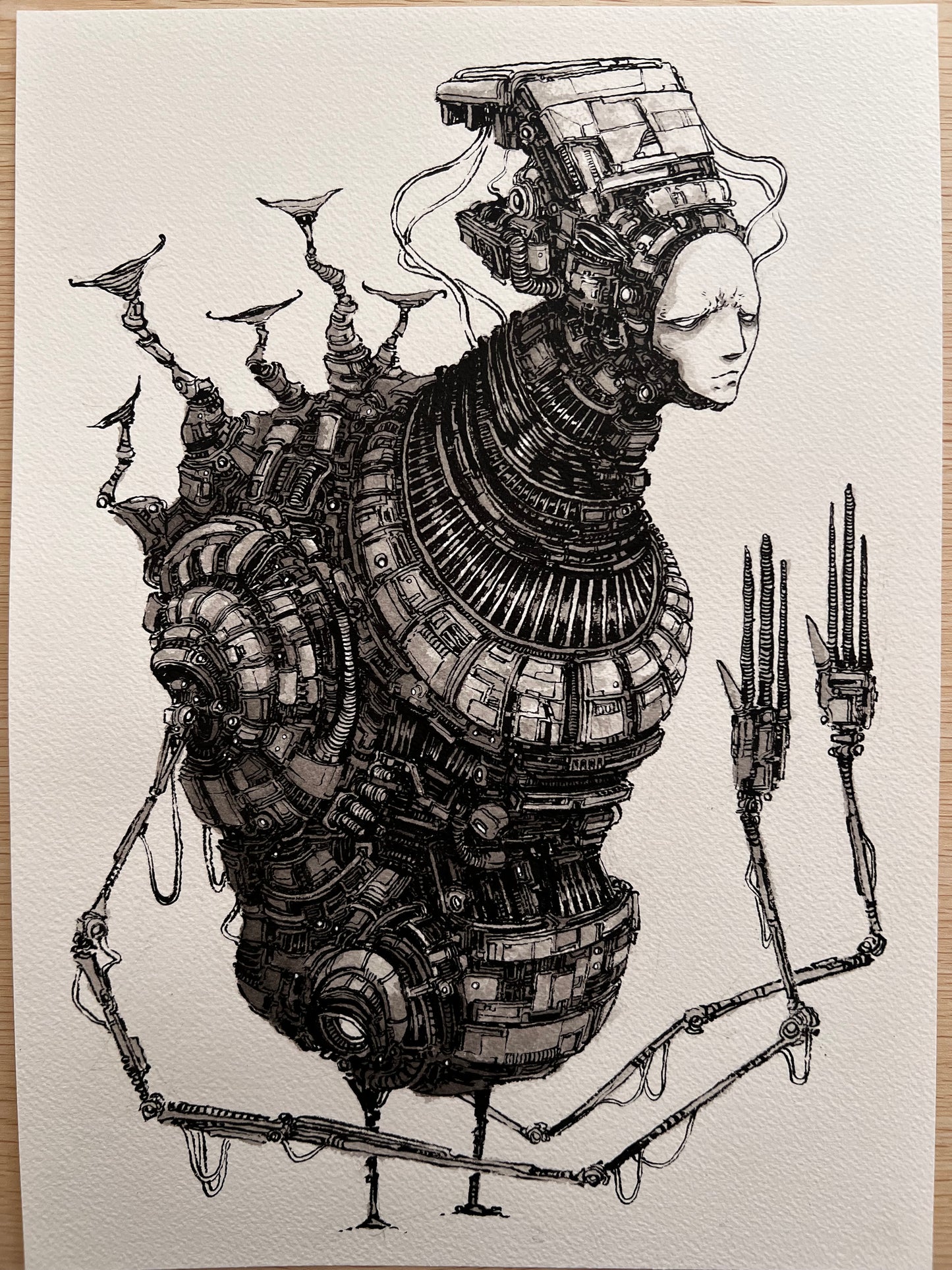 Luna (2025 Original first draft)