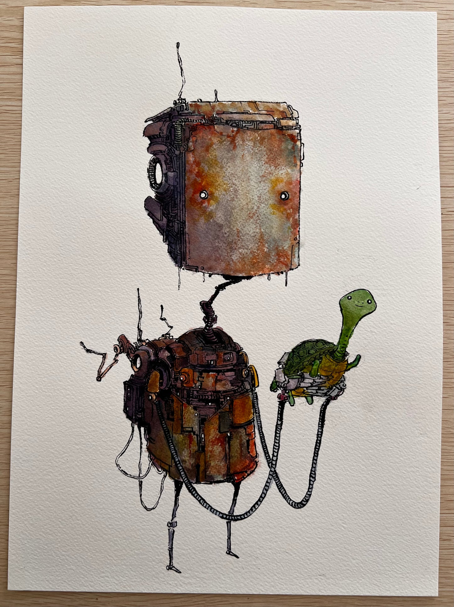 Turtle Collector (2025 Original)