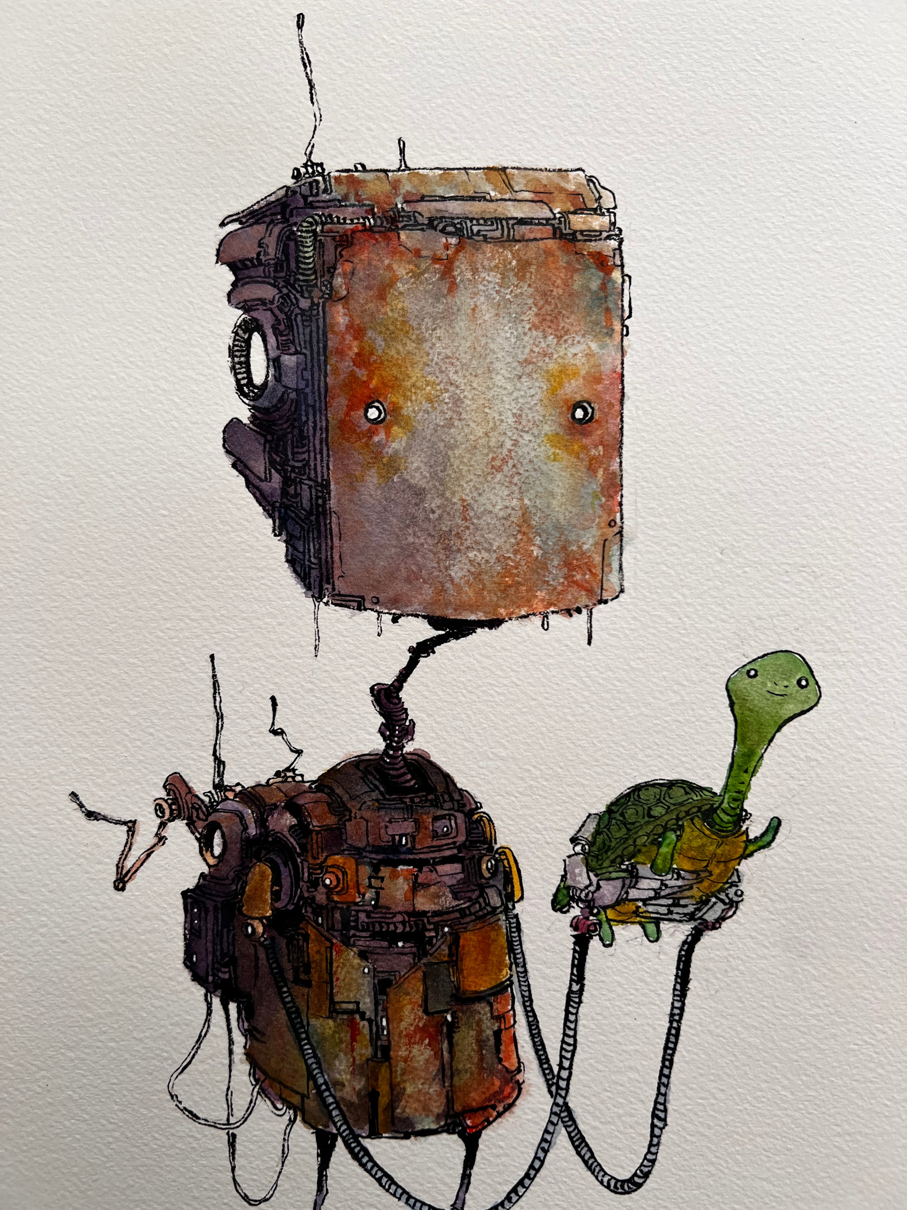 Turtle Collector (2025 Original) – Warpsol
