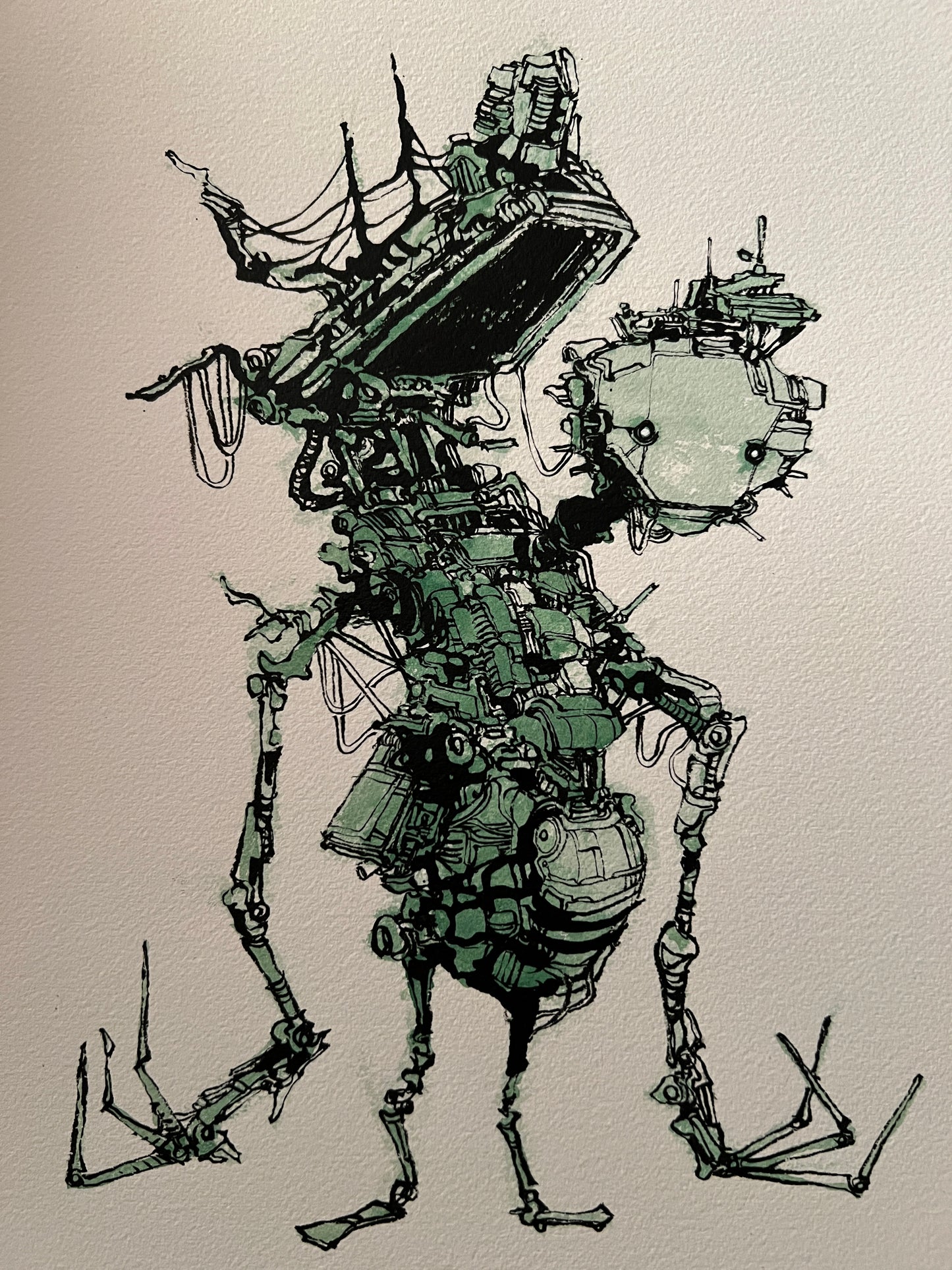 Agro Berry the Sympathizer (Original 2026)